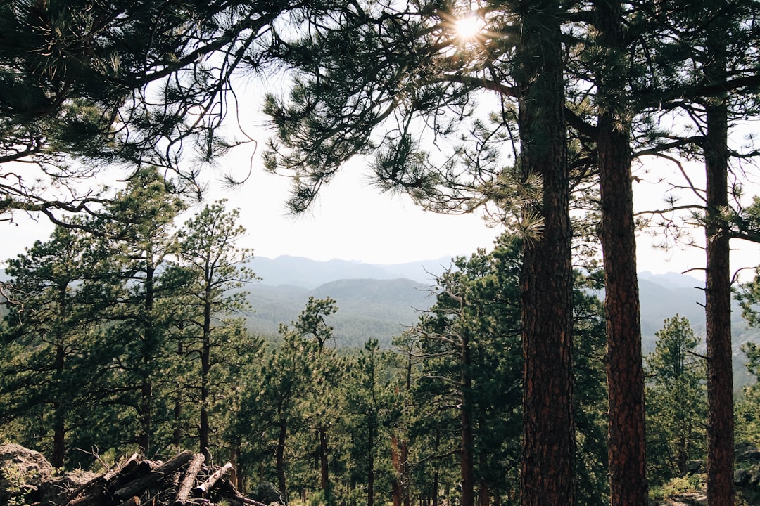 The Thrill of Embracing the Unknown: A Guide to Spontaneous Outdoor Adventures The Thrill of Embracing the Unknown: A Guide to Spontaneous Outdoor Adventures