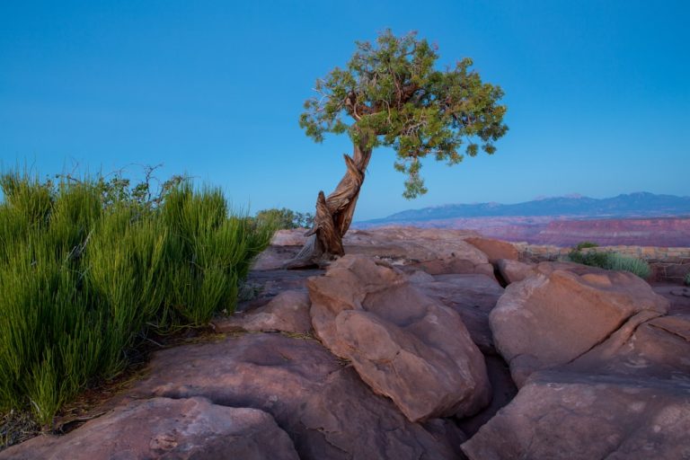 Unleashing the Adventurer Within: Embracing the Great Outdoors